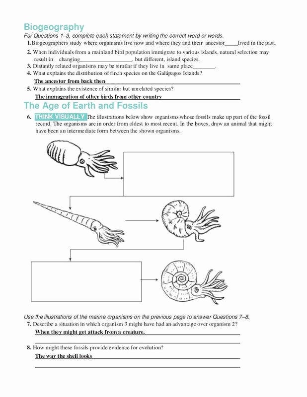 Cell Reproduction Worksheet Answers Unique Significant Figures Practice Worksheet