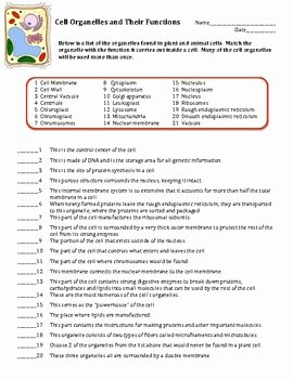 Cell Structure and Function Worksheet Awesome Cell organelles Matching Worksheet