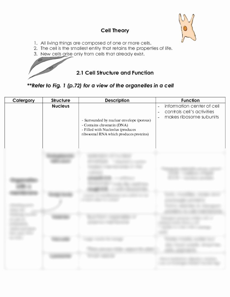 Cell Structure and Function Worksheet Awesome Function the organelles Worksheet