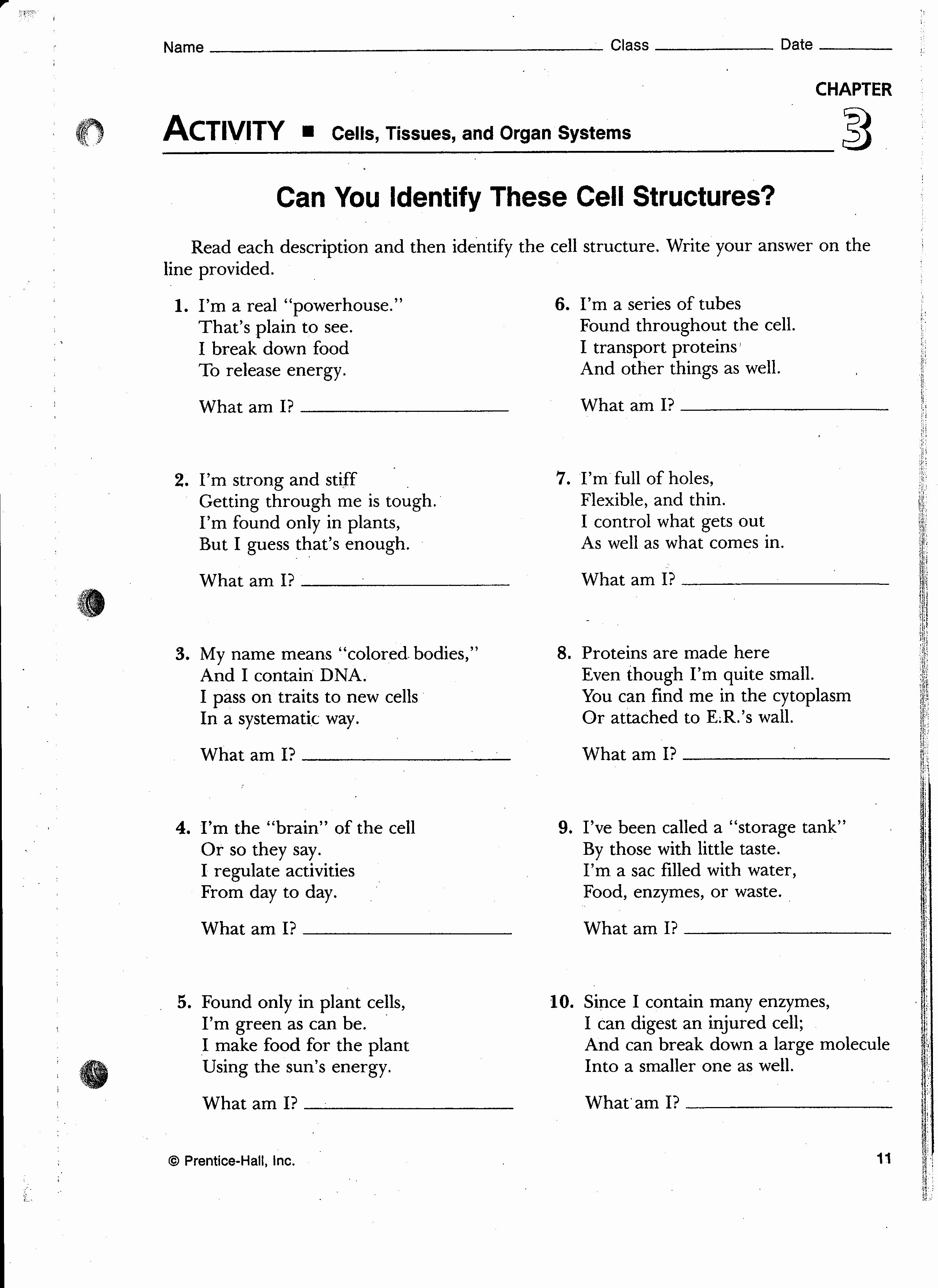 Cell Structure and Function Worksheet Elegant Week 12 Cell Booklet