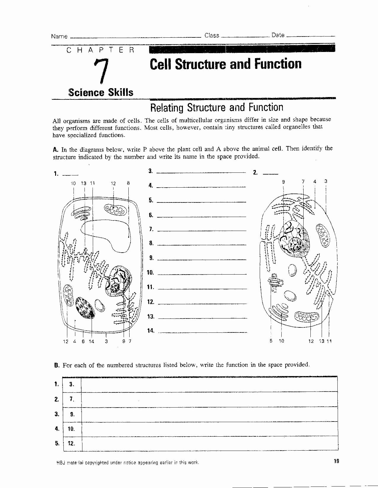 Cell Structure and Function Worksheet Fresh Singhal Seema Biology