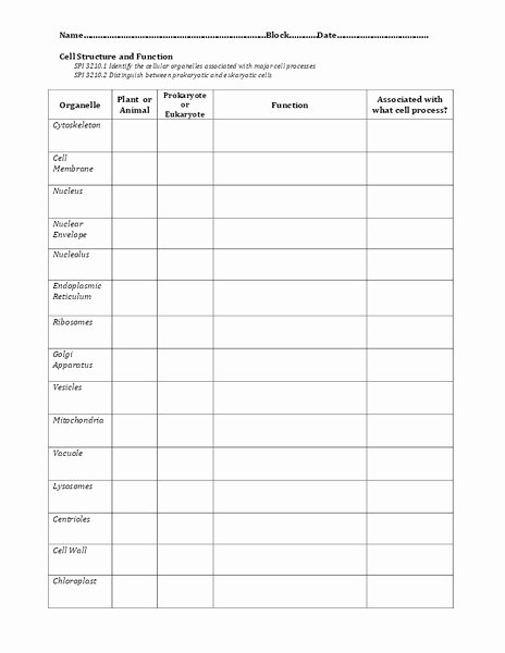 Cell Structure and Function Worksheet Luxury Cell Structure and Function Worksheet for 7th 8th Grade