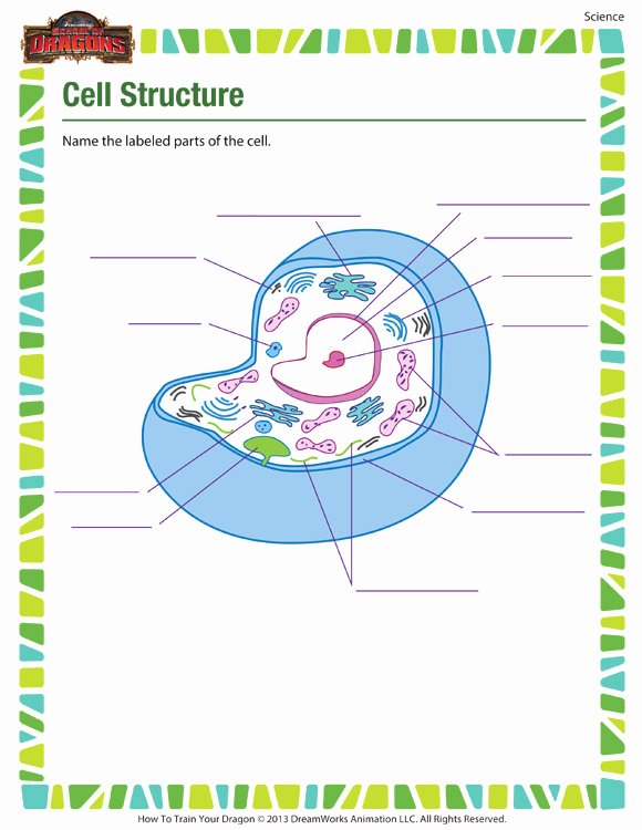 Cell Structure and Function Worksheet Unique Cell Structure – Free Cell Worksheet for 7th Grade Kids