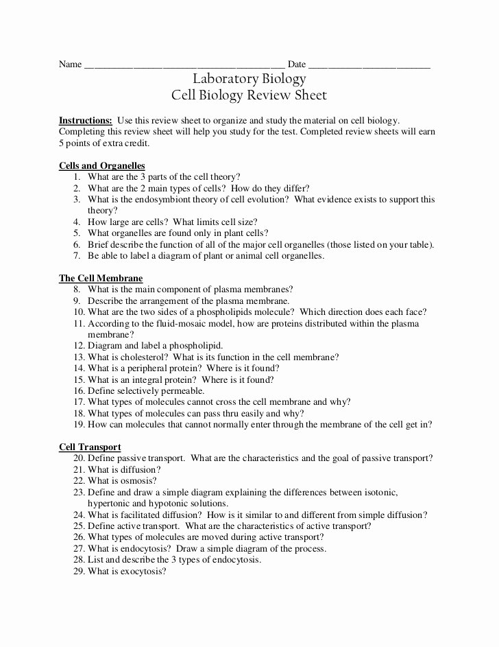 Cell Transport Review Worksheet Answers Awesome Cell Bio Review Sheet