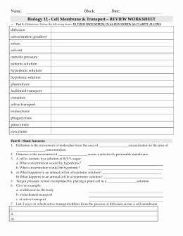 Cell Transport Review Worksheet Answers Awesome Cell Transport Review Answers