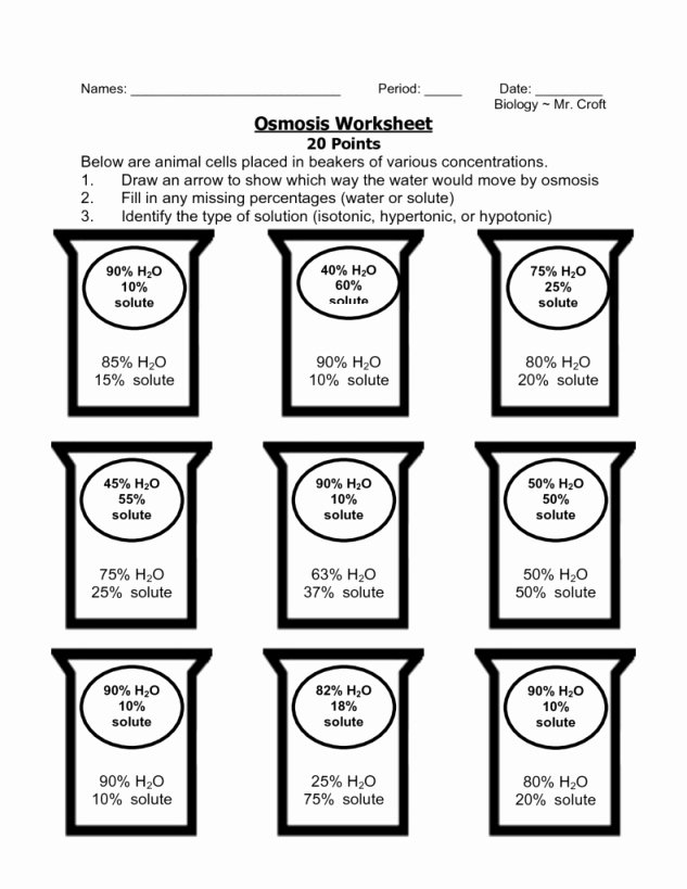 Cell Transport Review Worksheet Answers Fresh Osmosis Worksheet Answer Key
