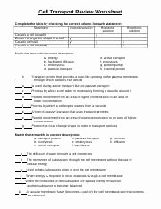 Cell Transport Review Worksheet Answers Luxury Cell Transport Review Worksheet Answers Cell Transport