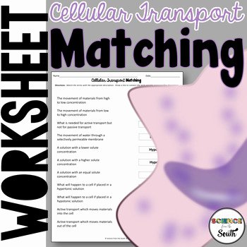 Cell Transport Review Worksheet Beautiful Cell Transport Matching Worksheet for Review or assessment