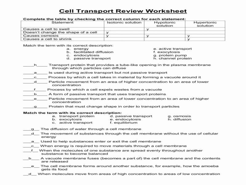 Cell Transport Review Worksheet Best Of Cellular Transport Worksheet