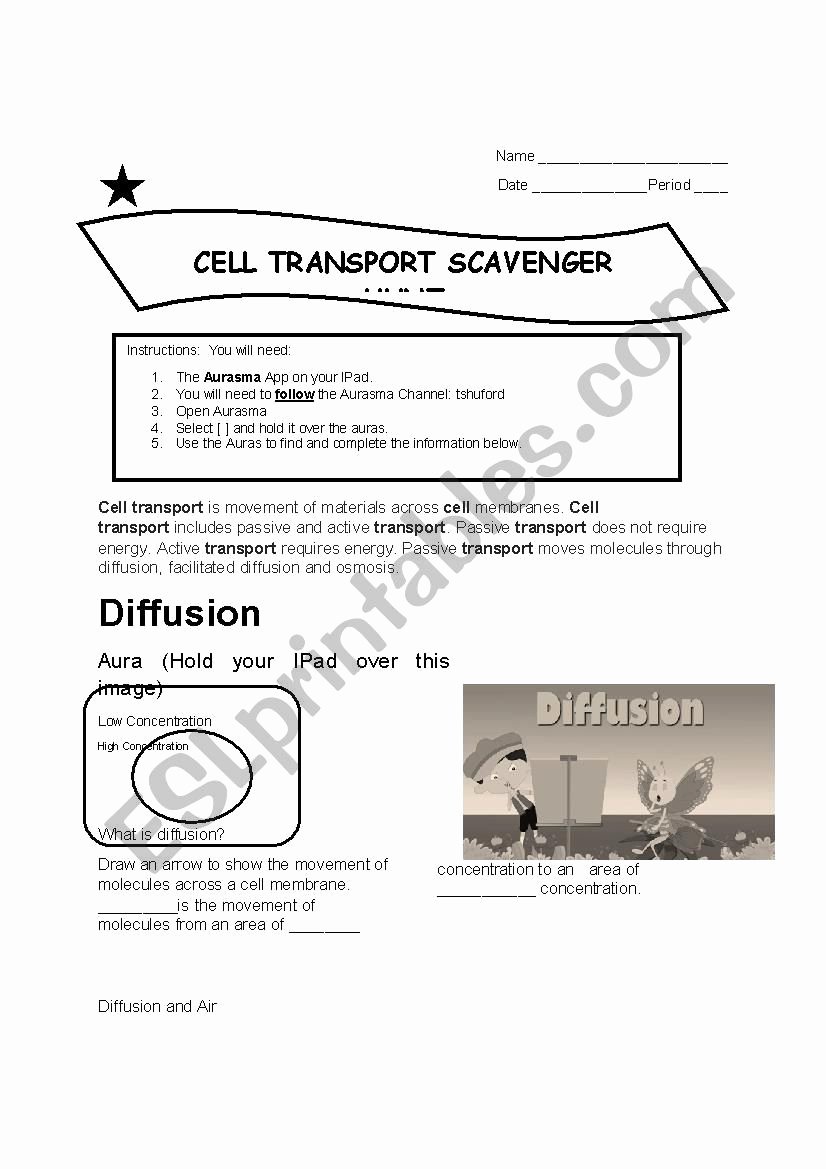 Cell Transport Review Worksheet Fresh Worksheet Cell Membrane Review Osmosis Membrane Cell