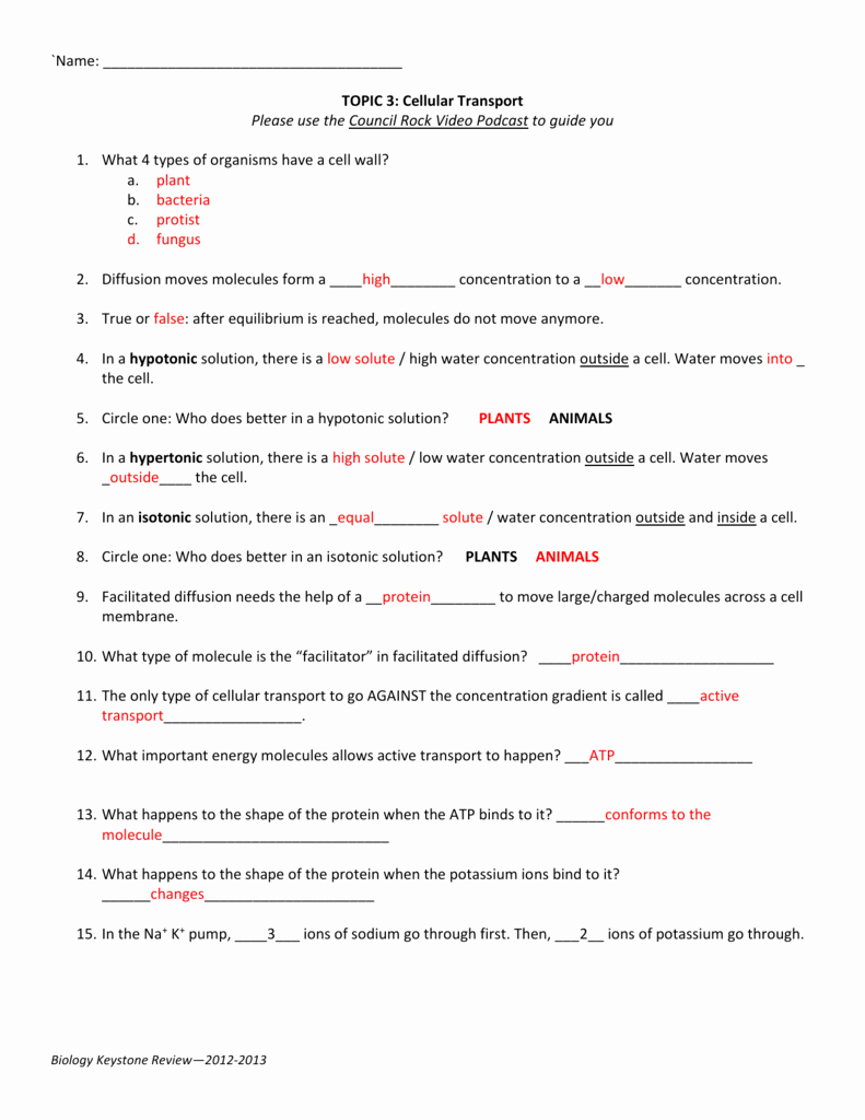 Cell Transport Review Worksheet Lovely the Shape Life Life the Move Worksheet Answers