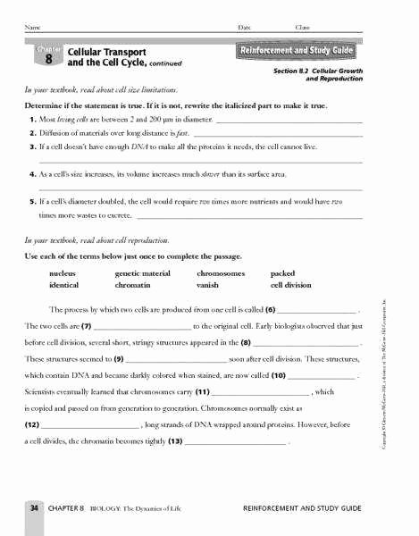 Cell Transport Review Worksheet Luxury Cell Transport Worksheet Answers