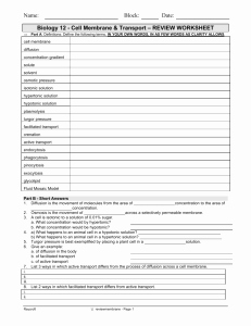Cell Transport Review Worksheet Unique Cell Transport Review Answers
