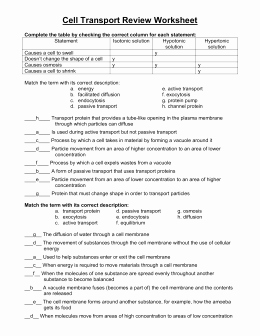 Cell Transport Worksheet Answers Best Of Studylib Essys Homework Help Flashcards Research