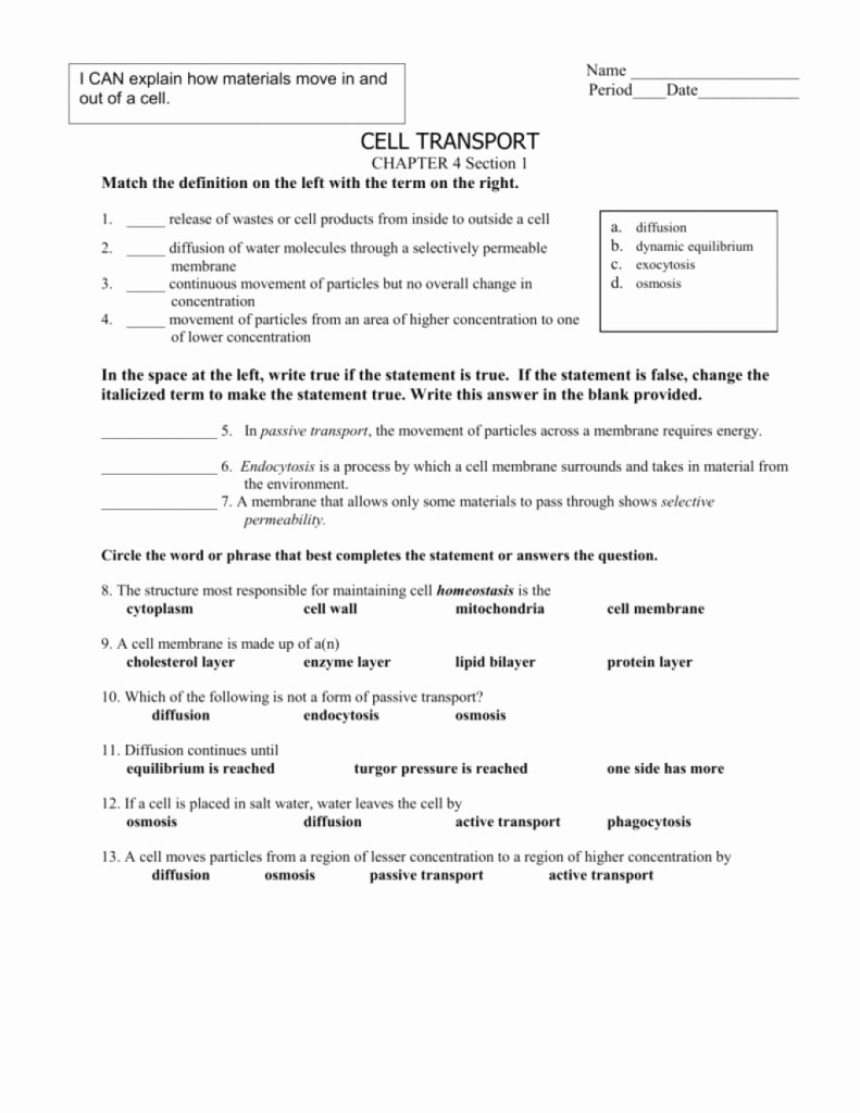 Cell Transport Worksheet Answers Lovely Amazing Cell Transport Worksheet Fairfield Public Schools