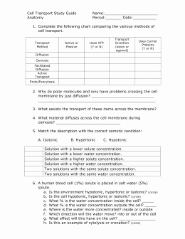 Cell Transport Worksheet Biology Answers Awesome Biology 12 Cell Membrane &amp; Transport – Review Worksheet