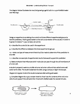 Cell Transport Worksheet Biology Answers Awesome High School Biology Worksheet Cellular Transport
