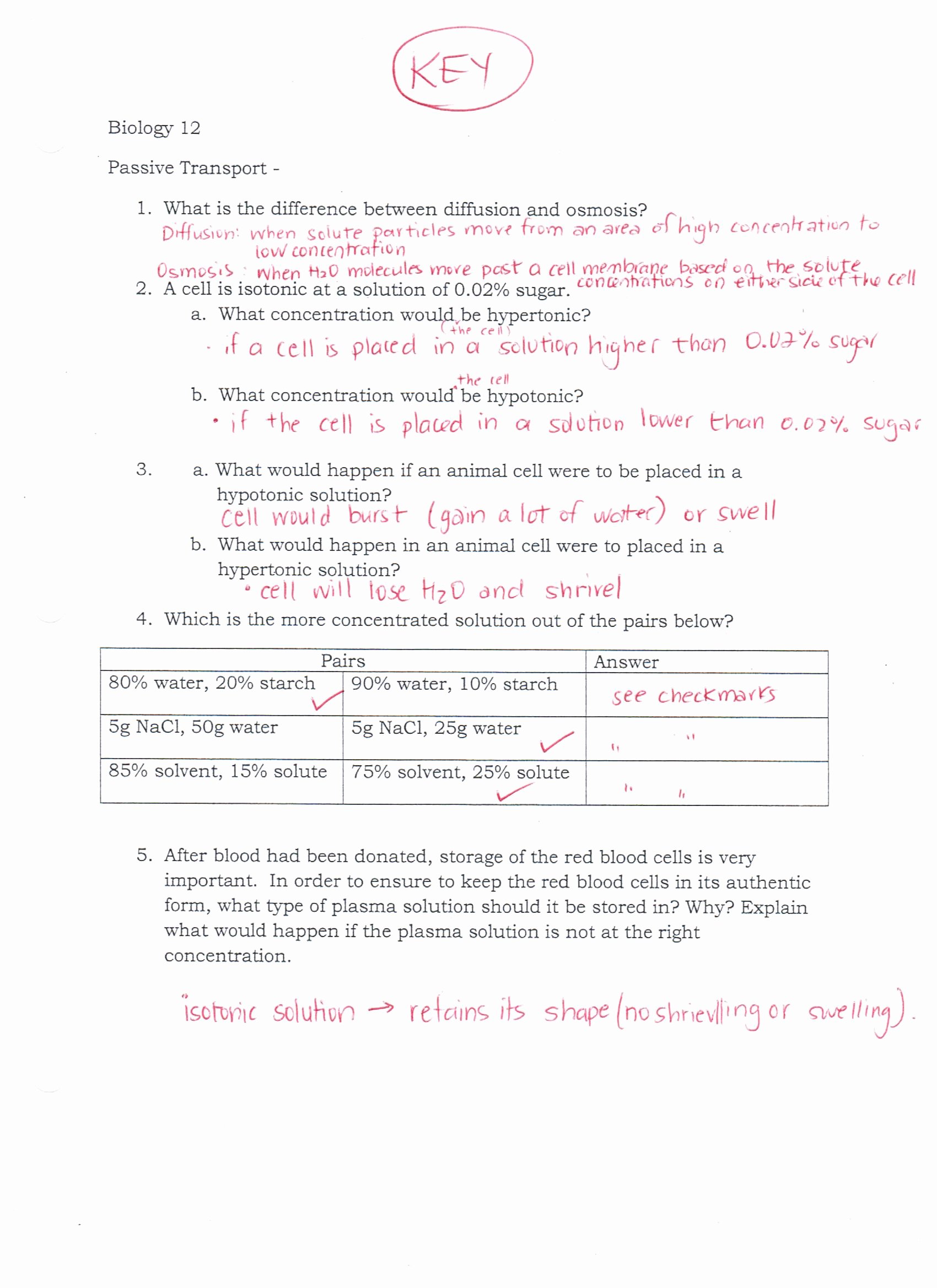 Cell Transport Worksheet Biology Answers Awesome Ms Ghtaura S Class Science Class