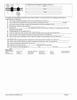 Cell Transport Worksheet Biology Answers Beautiful Cell Membrane Transport Reading and Worksheet by