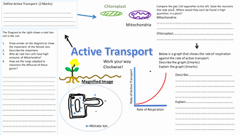 Cell Transport Worksheet Biology Answers Best Of Active Transport Revision Sheet Mat Diffusion Revision