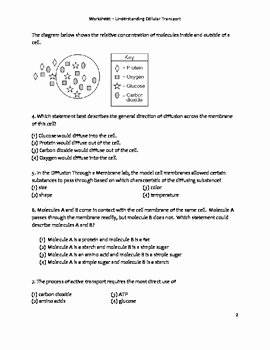 Cell Transport Worksheet Biology Answers Best Of High School Biology Worksheet Cellular Transport
