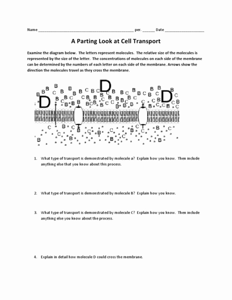 Cell Transport Worksheet Biology Answers Fresh Active Transport Lesson Plans &amp; Worksheets