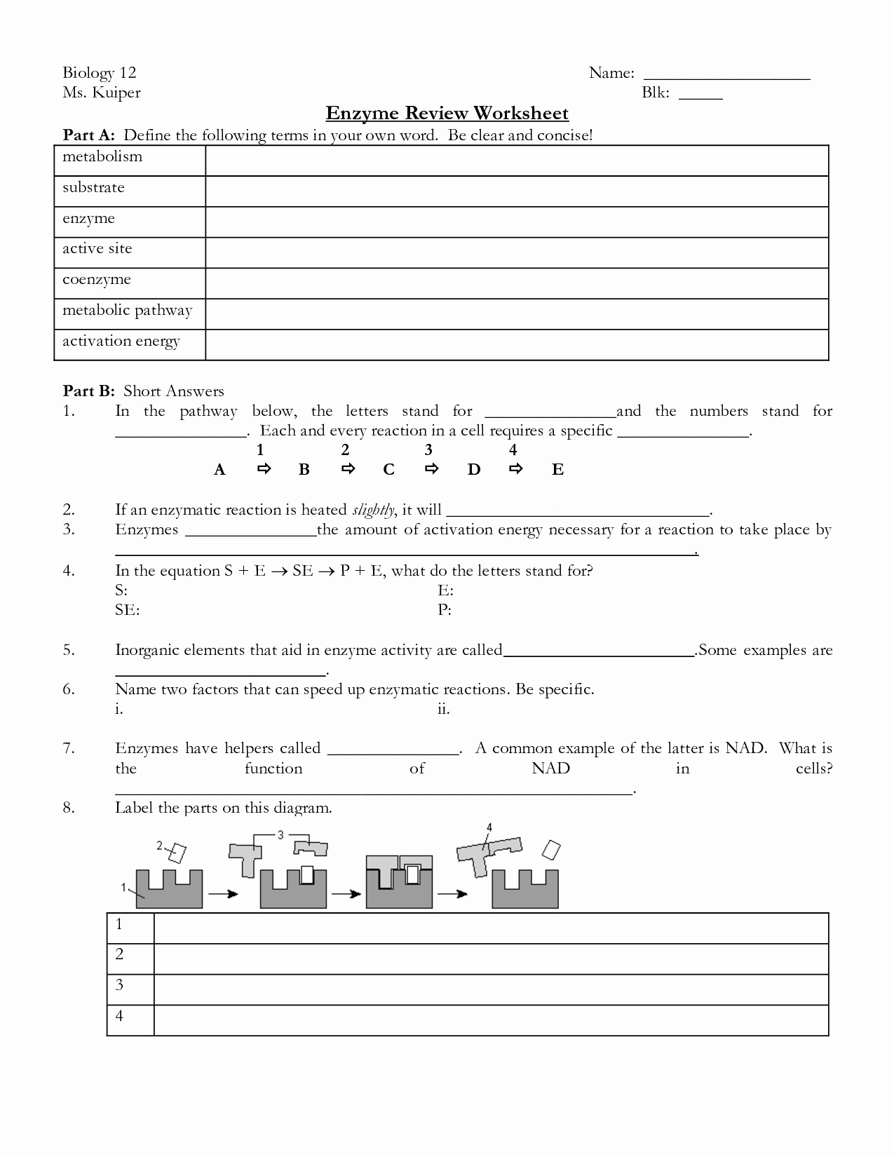Cell Transport Worksheet Biology Answers Inspirational 16 Best Of the 12 Cell Review Worksheet Answers