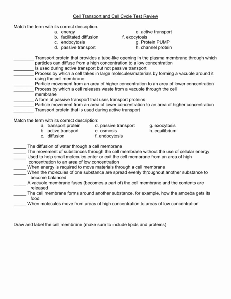 Cell Transport Worksheet Biology Answers New Downloadable Template Of Cell Transport Review Worksheet