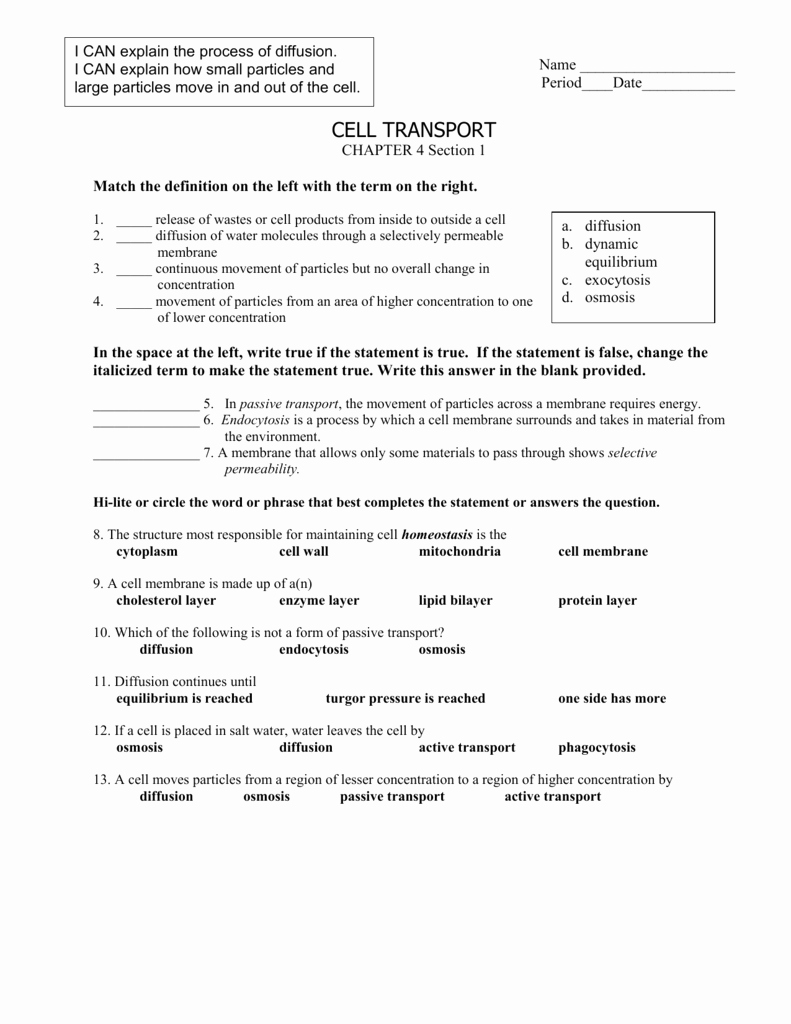 Cell Transport Worksheet Biology Answers Unique Cell Transport Worksheet