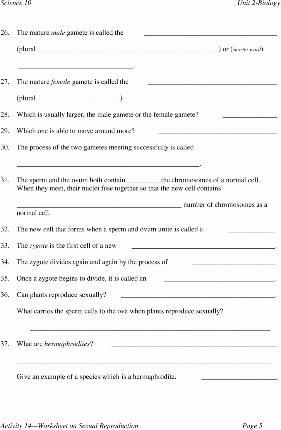 Cells Alive Cell Cycle Worksheet Unique Worksheet Cells Alive Worksheet Answers Grass Fedjp