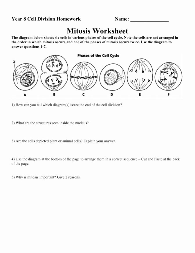 50 Cells Alive Worksheet Answer Key