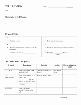 Cells and organelles Worksheet Fresh Cell organelles Worksheet