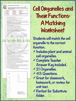 Cells and organelles Worksheet Lovely Cell organelles Matching Worksheet by Amy Brown Science