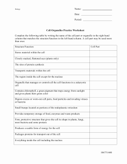 Cells and organelles Worksheet Luxury Cell organelles Student Handout