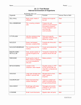 Cells and organelles Worksheet Unique Chapter 3 Worksheet &amp; Reading Guide – the Cell