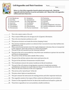 Cells and their organelles Worksheet Beautiful Cell organelles Matching Worksheet