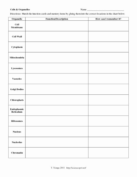 Cells and their organelles Worksheet Inspirational Cells &amp; organelles Worksheet for 7th 12th Grade
