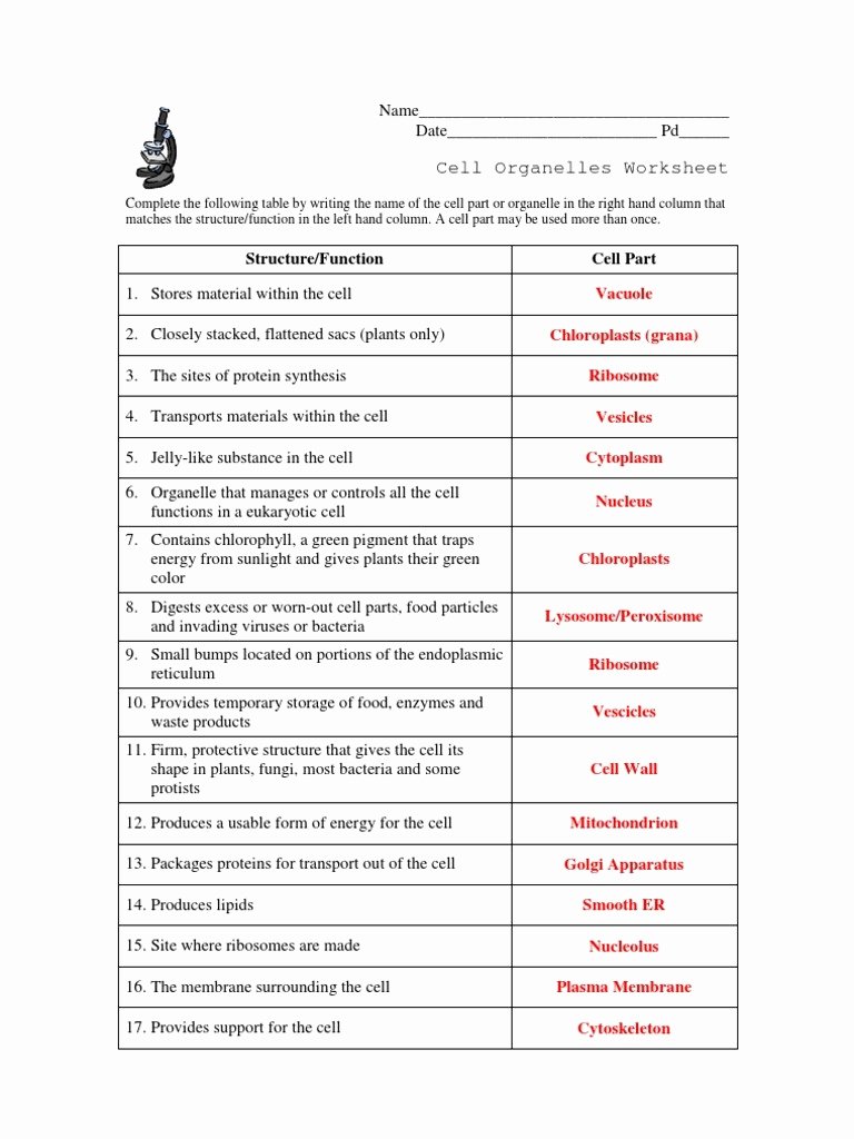 Cells and their organelles Worksheet New Beautiful Cell Structure and organelles Worksheet