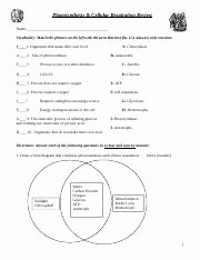 Cellular Respiration Review Worksheet Awesome Cell organelles Worksheet Answered Cell organelles