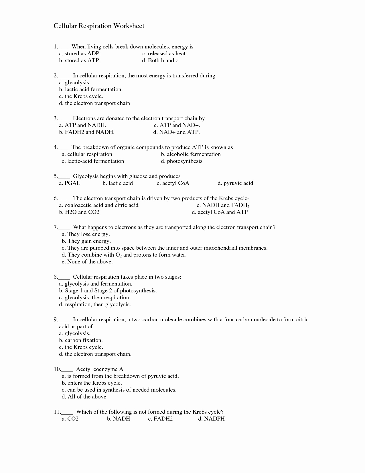 Cellular Respiration Review Worksheet Best Of 15 Best Of Glycolysis Worksheet Answers Chapter 9
