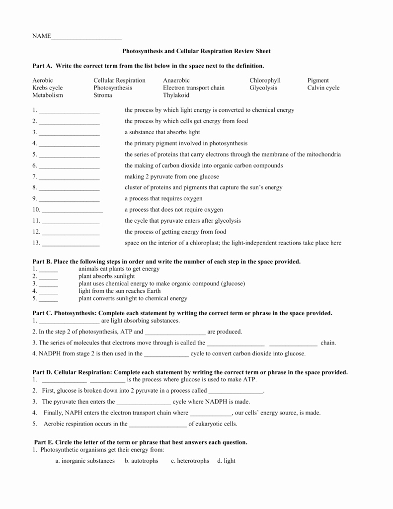 Cellular Respiration Review Worksheet Best Of Synthesis and Cellular Respiration Review Sheet