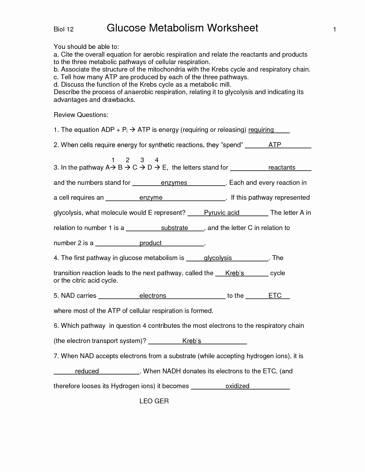 Cellular Respiration Worksheet Answer Key Lovely 16 Best Of the 12 Cell Review Worksheet Answers
