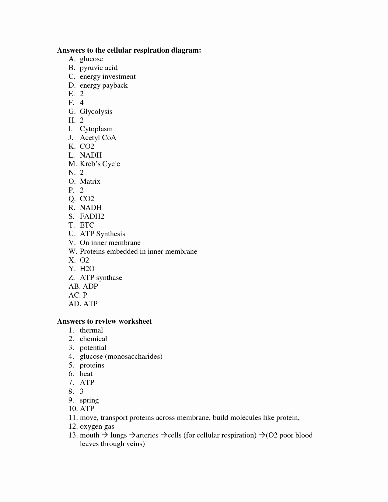 Cellular Respiration Worksheet Key Awesome 15 Best Of Glycolysis Worksheet Answers Chapter 9