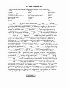 Cellular Respiration Worksheet Key Awesome the Cellular Respiration Story 12th Higher Ed Worksheet