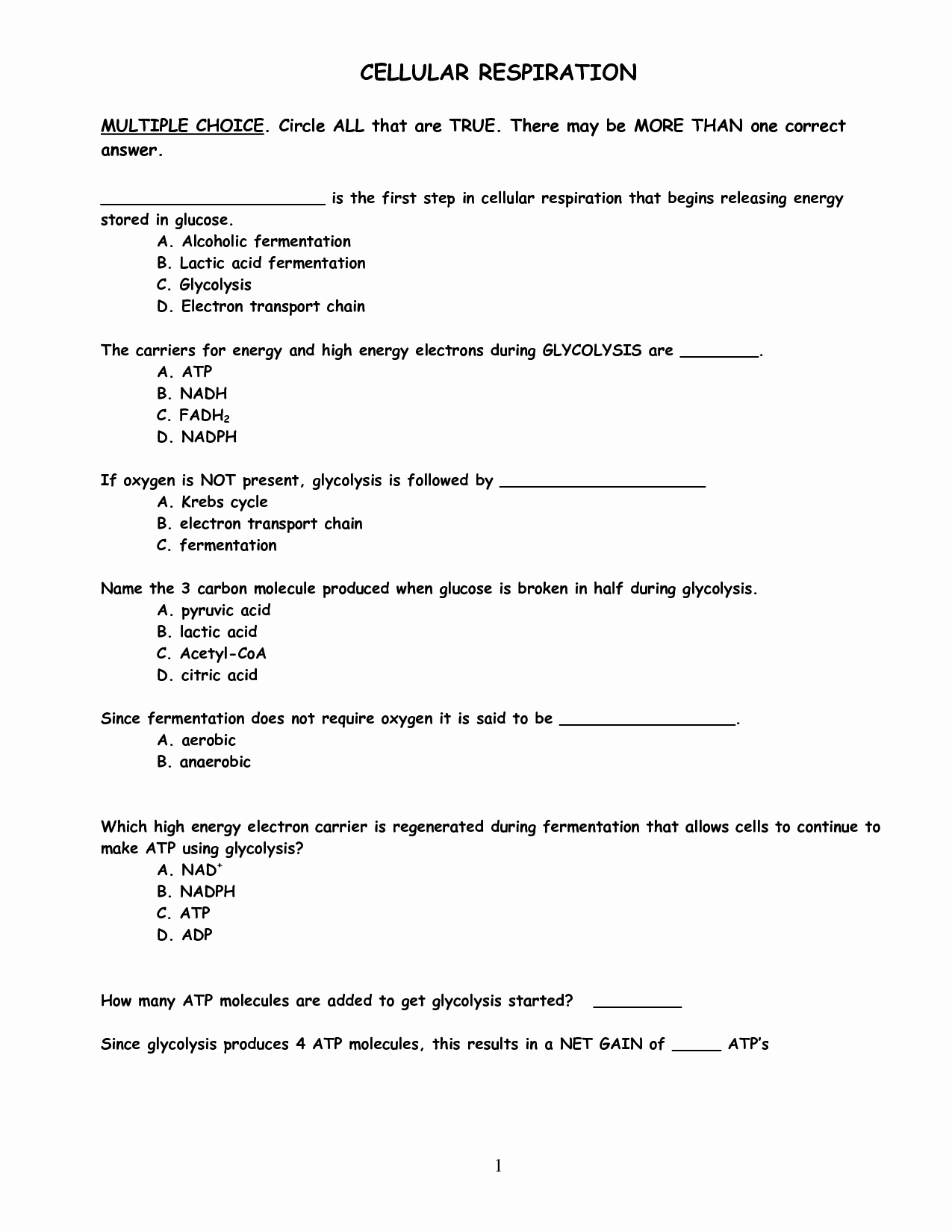Cellular Respiration Worksheet Key Beautiful 14 Best Of Synthesis Worksheets with Answer