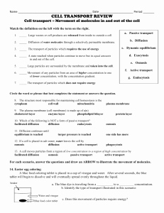 Cellular Transport Worksheet Answer Key Beautiful Study Guide for Cell Transport Quiz