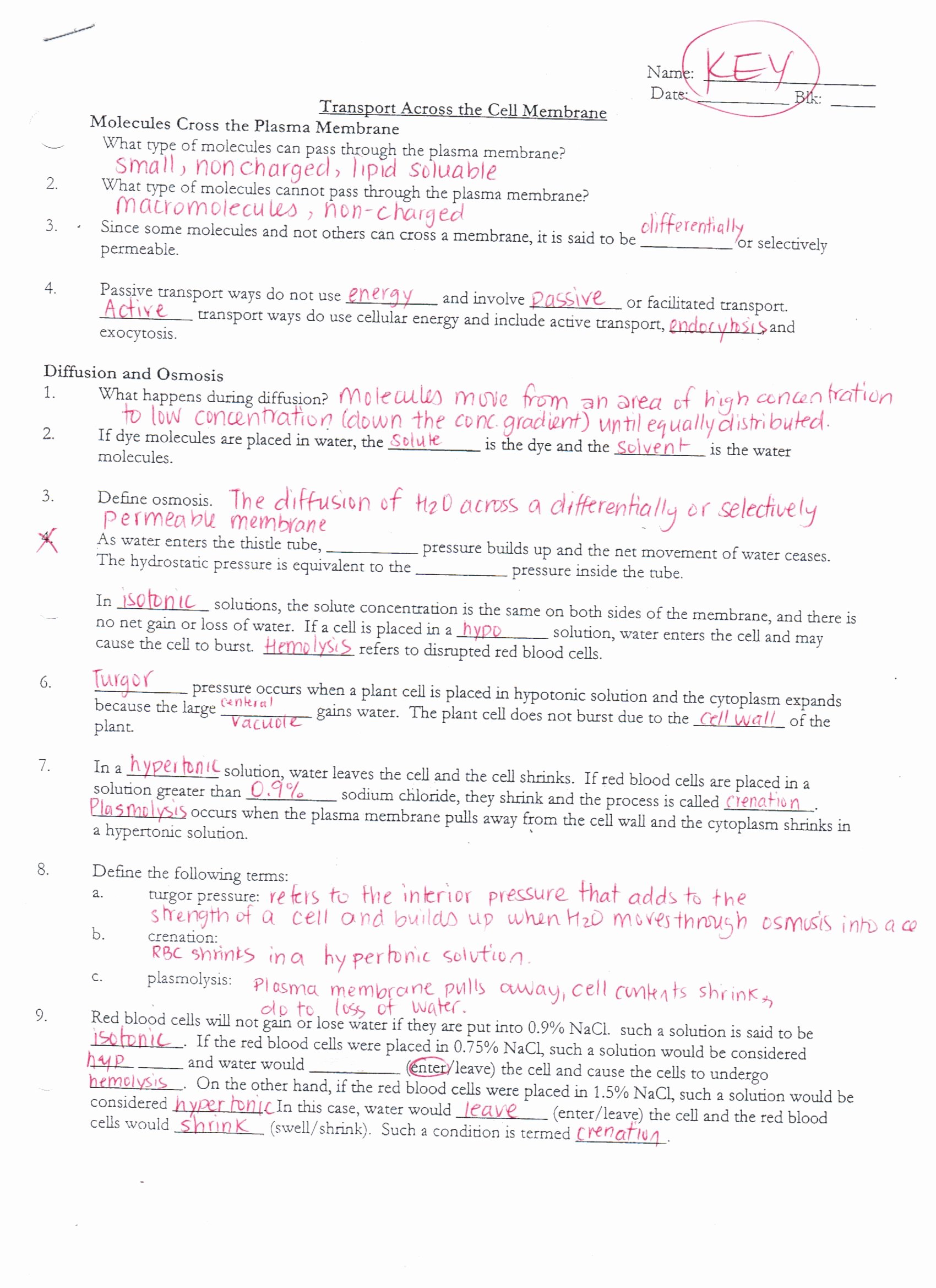 Cellular Transport Worksheet Answer Key Unique Ms Ghtaura S Class Science Class
