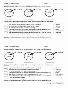 Cellular Transport Worksheet Answers New Cell Membrane Coloring Worksheet Answer Key