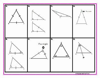 Centers Of Triangles Worksheet Fresh Congruent Triangles Geometry Triangles & Congruency
