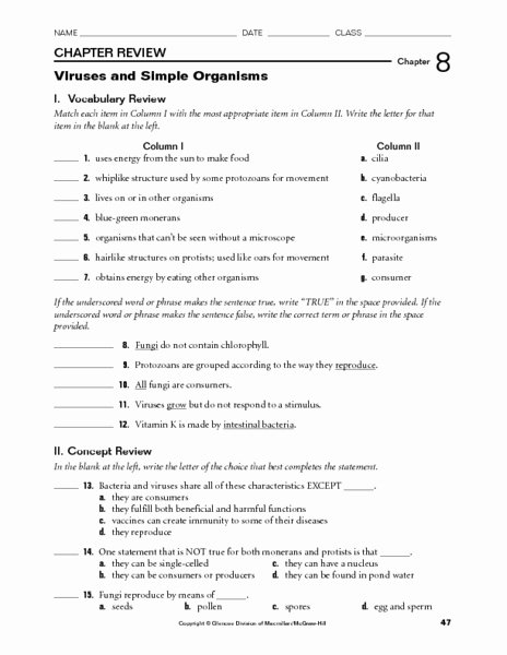 Characteristics Of Bacteria Worksheet Awesome Protist Lesson Plans &amp; Worksheets